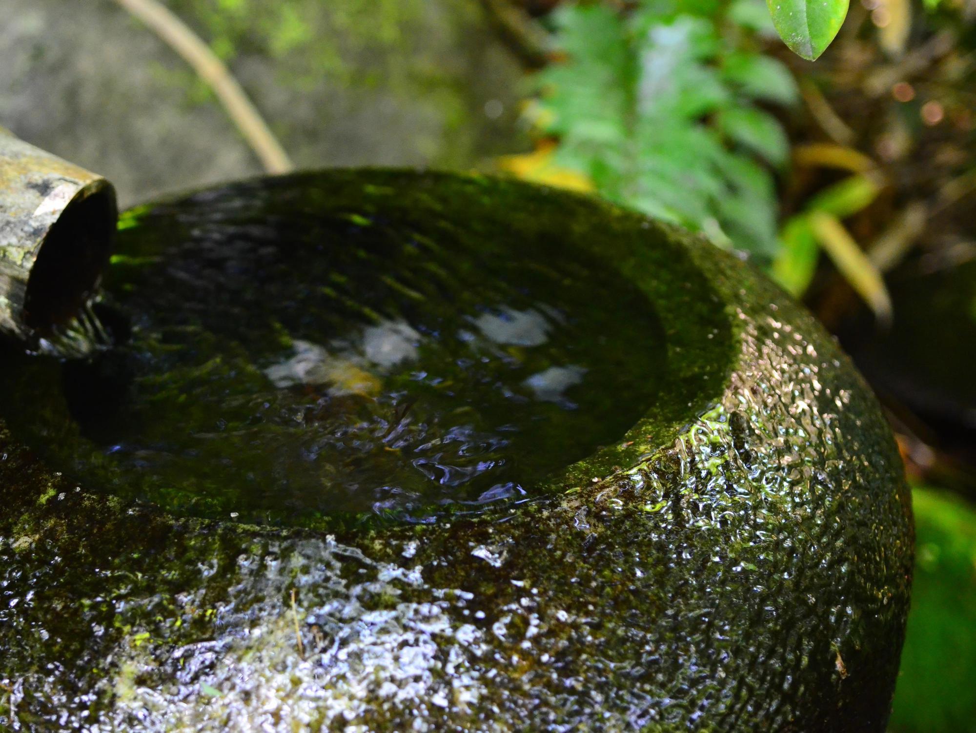 Yufuin Ryokan Nogiku Esterno foto